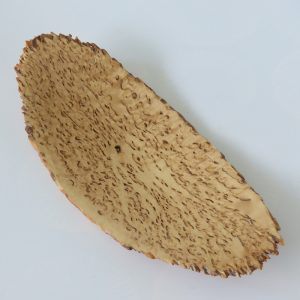 masur birch natural edge bowl turned by Paul Hannaby creative woodturning